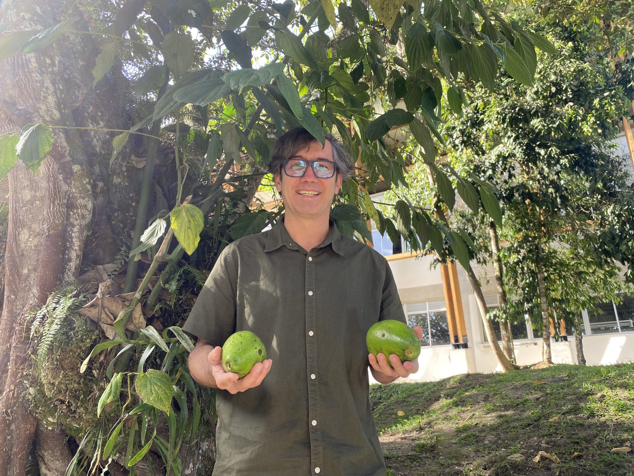 Miguel Alfredo Ruiz López, director del programa de Tecnología en Producción Agrícola de la Universidad Tecnológica de Pereira, nació en una familia que vivía del campo, entre la ganadería y la agricultura. "Soy de familia campesina, siempre vinculado a las labores agrícolas", cuenta con orgullo. Su formación como ingeniero agrónomo se complementa con una especialización en finanzas, una maestría en sistemas de producción agrícola sostenible y un doctorado en ciencias agrícolas. Pero más allá del título, es su pasión por el campo lo que guía su camino.