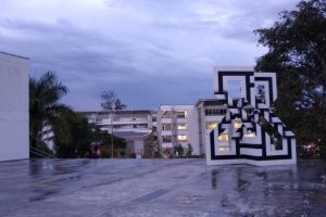 bellas artes