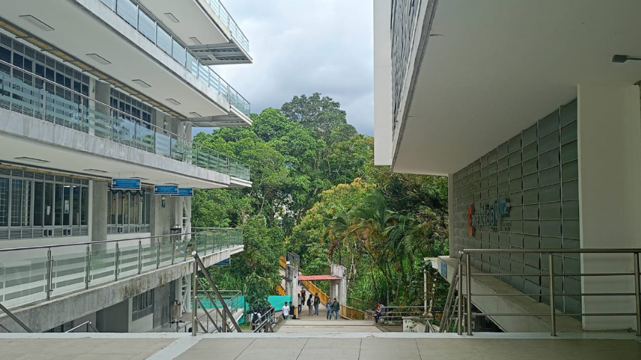 La Facultad de Ingenierías y el Doctorado en Ingenirías de la Universidad Tecnológica de Pereira invita a la comunidad académica y científica a la defensa de tesis doctoral del estudiante Julián Felipe Villada Castillo, quien presentará su investigación titulada: