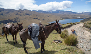 Aguas & Aguas y UTP unen esfuerzos por la resignificación de la Cuenca del río Otún