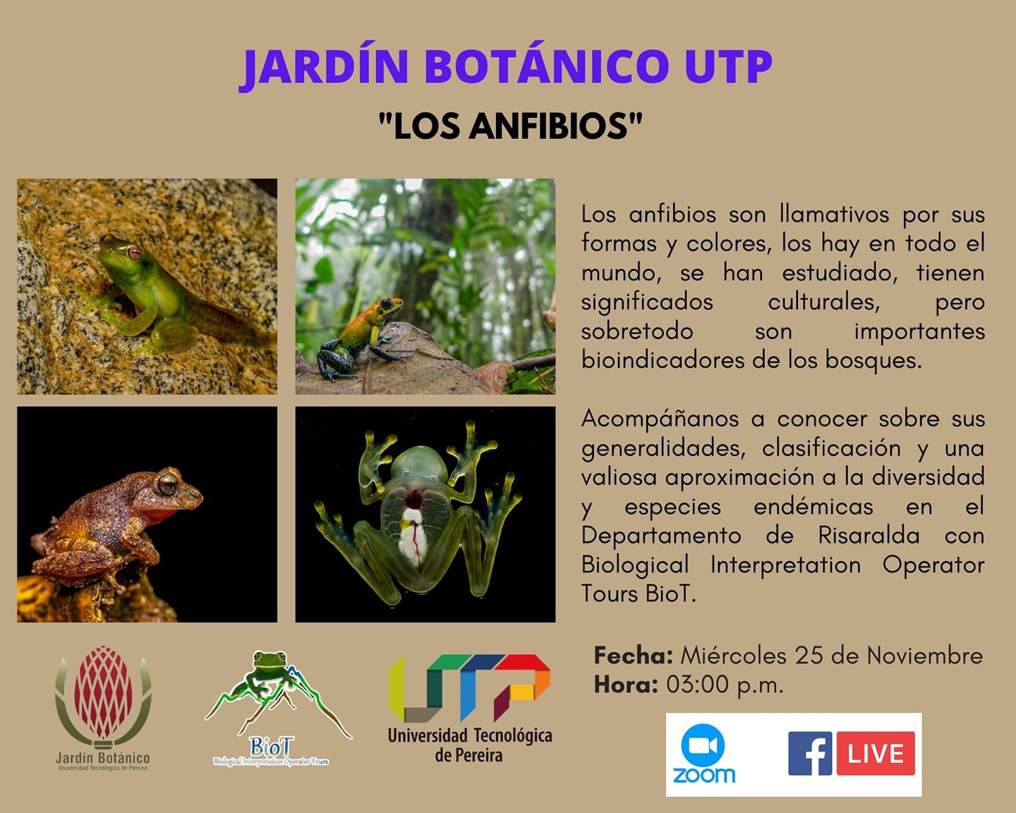 Charla Jardín Botánico UTP: “los anfibios”