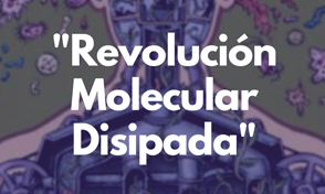 Conversatorio para Pensar en las Posibilidades “Revolución Molecular Disipada”