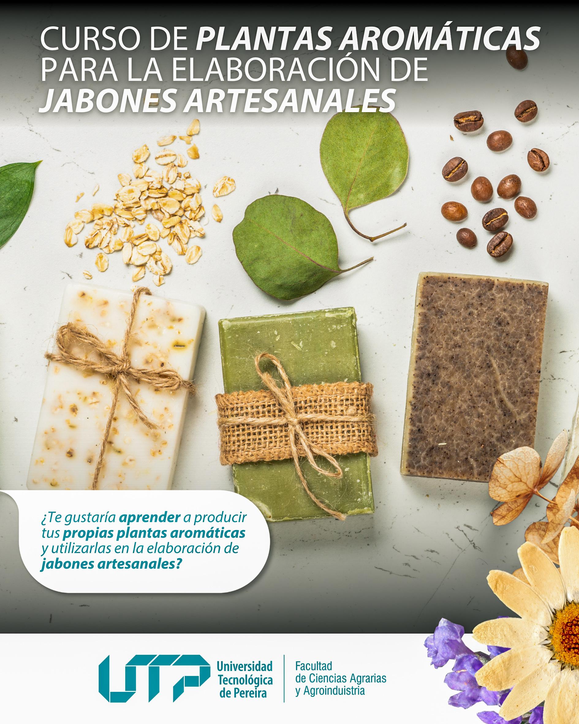 La Universidad Tecnológica de Pereira se complace en anunciar la apertura de la II Cohorte del Curso de Producción de Plantas Aromáticas para la Elaboración de Jabones Artesanales. Este curso está abierto a todo el público, brindando una oportunidad única para aprender a crear jabones artesanales utilizando plantas aromáticas, con un enfoque práctico y teórico que cualquier persona puede disfrutar., una excelente oportunidad para quienes deseen aprender a cultivar y transformar plantas aromáticas en jabones naturales de alta calidad.