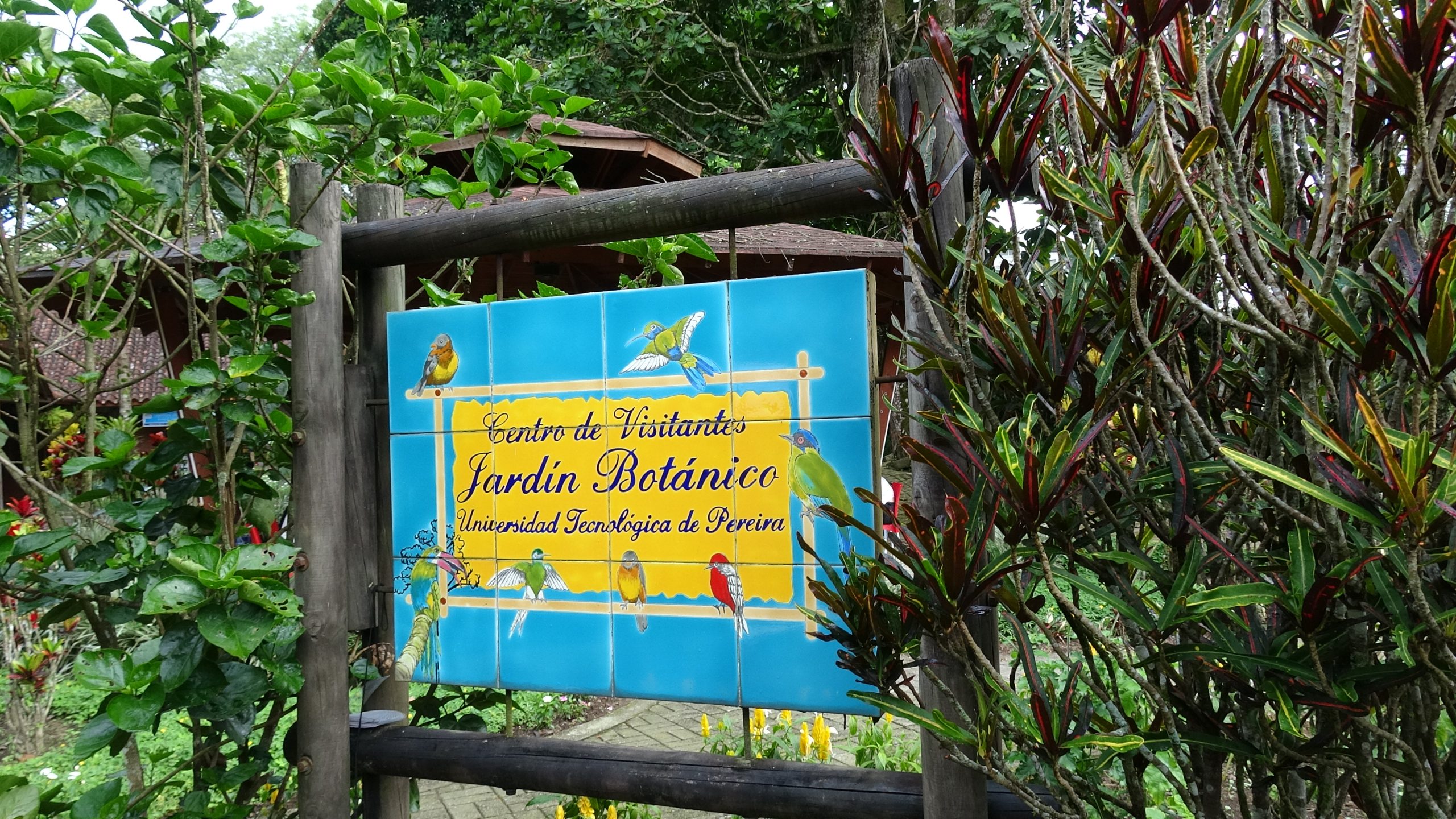 El pasado 29 de abril, el Jardín Botánico de la Universidad Tecnológica de Pereira (UTP) fue escenario de una jornada de conciencia ambiental y conexión con la naturaleza, en el marco de la conmemoración del Día Nacional del Árbol. Bajo el lema “Sembrando palabras, sembrando futuro”, visitantes de todas las edades se sumaron a una celebración cargada de simbolismo, reflexión y gratitud hacia los árboles.