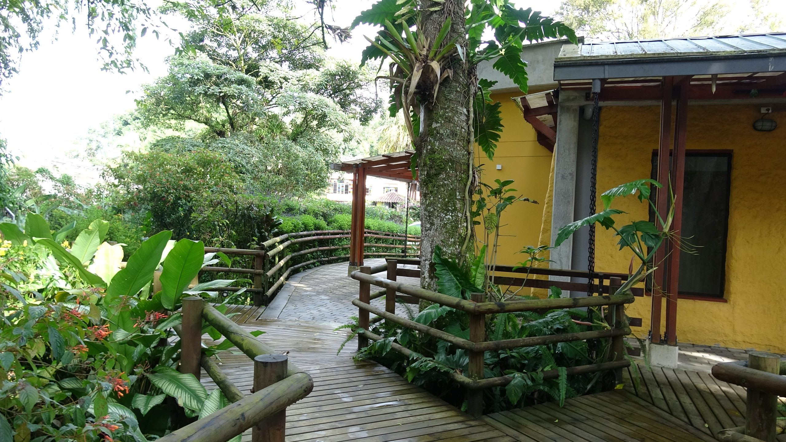 Durante las próximas vacaciones escolares, el Jardín Botánico de la Universidad Tecnológica de Pereira abrirá sus puertas a una nueva edición de Vacaciones Creativas, una propuesta educativa y recreativa que invita a niños y niñas a explorar el bosque andino a través del arte, la ciencia y el juego, mientras desarrollan conciencia ambiental.