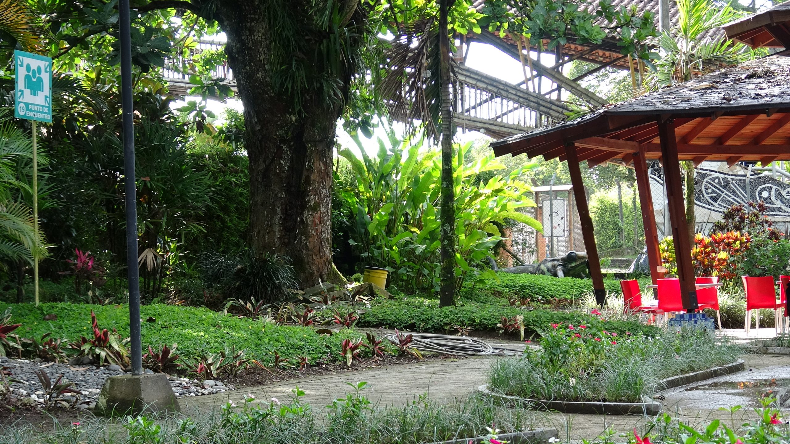 Durante las próximas vacaciones escolares, el Jardín Botánico de la Universidad Tecnológica de Pereira ofrecerá una nueva edición de Vacaciones Creativas, una propuesta educativa y recreativa dirigida a niños y niñas, que invita a explorar el bosque andino a través del arte, la ciencia y el juego, mientras se fortalece su conciencia ambiental.