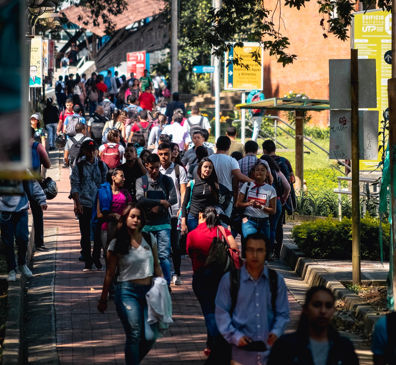 La Universidad Tecnológica de Pereira (UTP) reafirma su liderazgo académico y su compromiso con la excelencia al posicionarse en el puesto 21 entre las 108 universidades evaluadas en el Examen de Estado de Calidad de la Educación Superior (ECAES), conocido como Saber Pro, según el ranking divulgado por el Ministerio de Educación. Este resultado no solo la ubica como la mejor institución de educación superior del Eje Cafetero, sino que también destaca su capacidad para competir a nivel nacional frente a instituciones de prestigio.