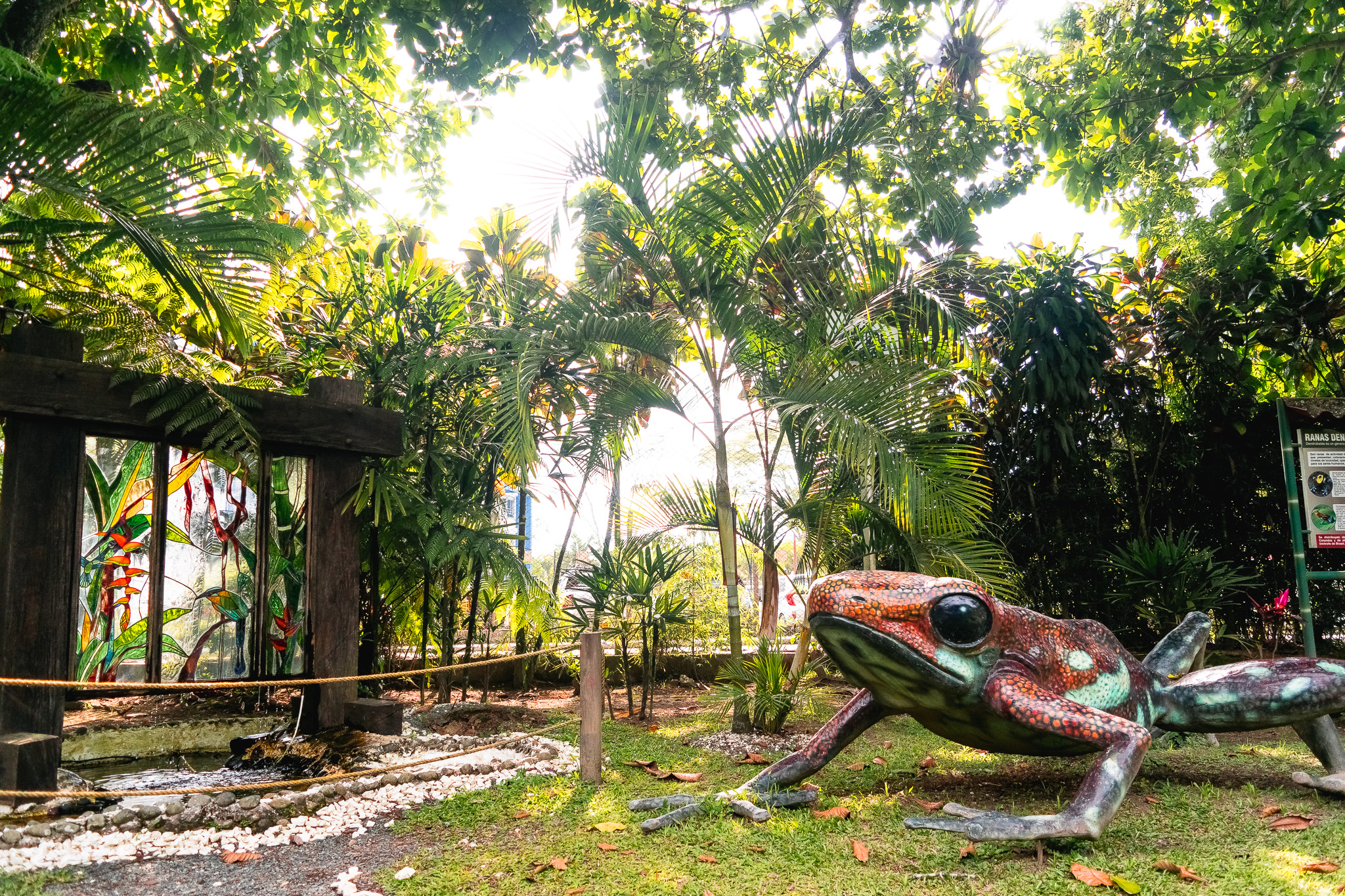 El Jardín Botánico de la Universidad Tecnológica de Pereira invita a los niños y niñas entre 5 y 10 años a disfrutar de unas vacaciones únicas donde la creatividad y la naturaleza serán protagonistas. Este programa especial, que se llevará a cabo del 25 de noviembre al 6 de diciembre, promete ser un espacio de aprendizaje, diversión y conexión con el mundo natural.