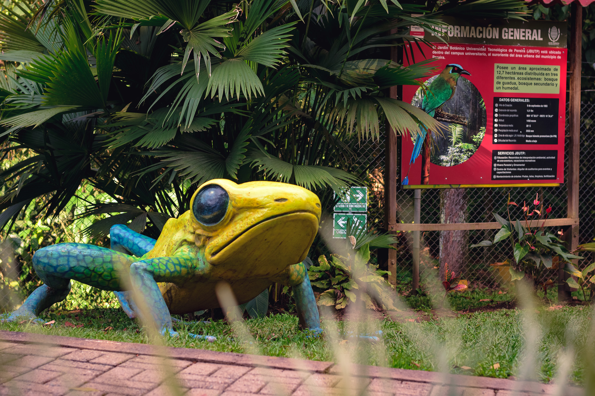 El campus universitario, el Jardín Botánico y el entorno natural de la Universidad Tecnológica de Pereira son refugio para múltiples especies de fauna silvestre, cuya presencia evidencia el equilibrio ecológico del territorio. Protegerlas es una tarea que involucra a toda la comunidad universitaria.