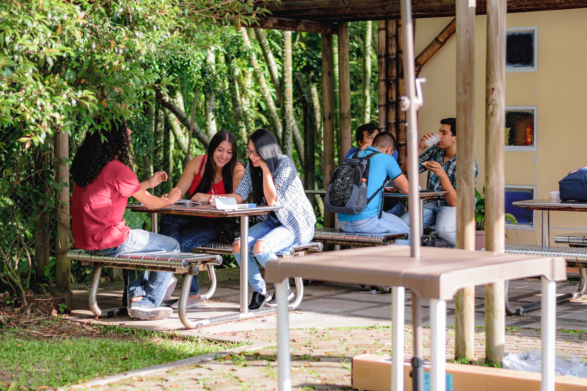 Tejiendo la Red es el nombre del evento de cierre de la Red de Nodos de Innovación, Ciencia y Tecnología, que tendrá lugar este 10 de diciembre, a partir de las 8 de la mañana, en el Crater Living Lab- de la Fundación Universitaria del Área Andina.