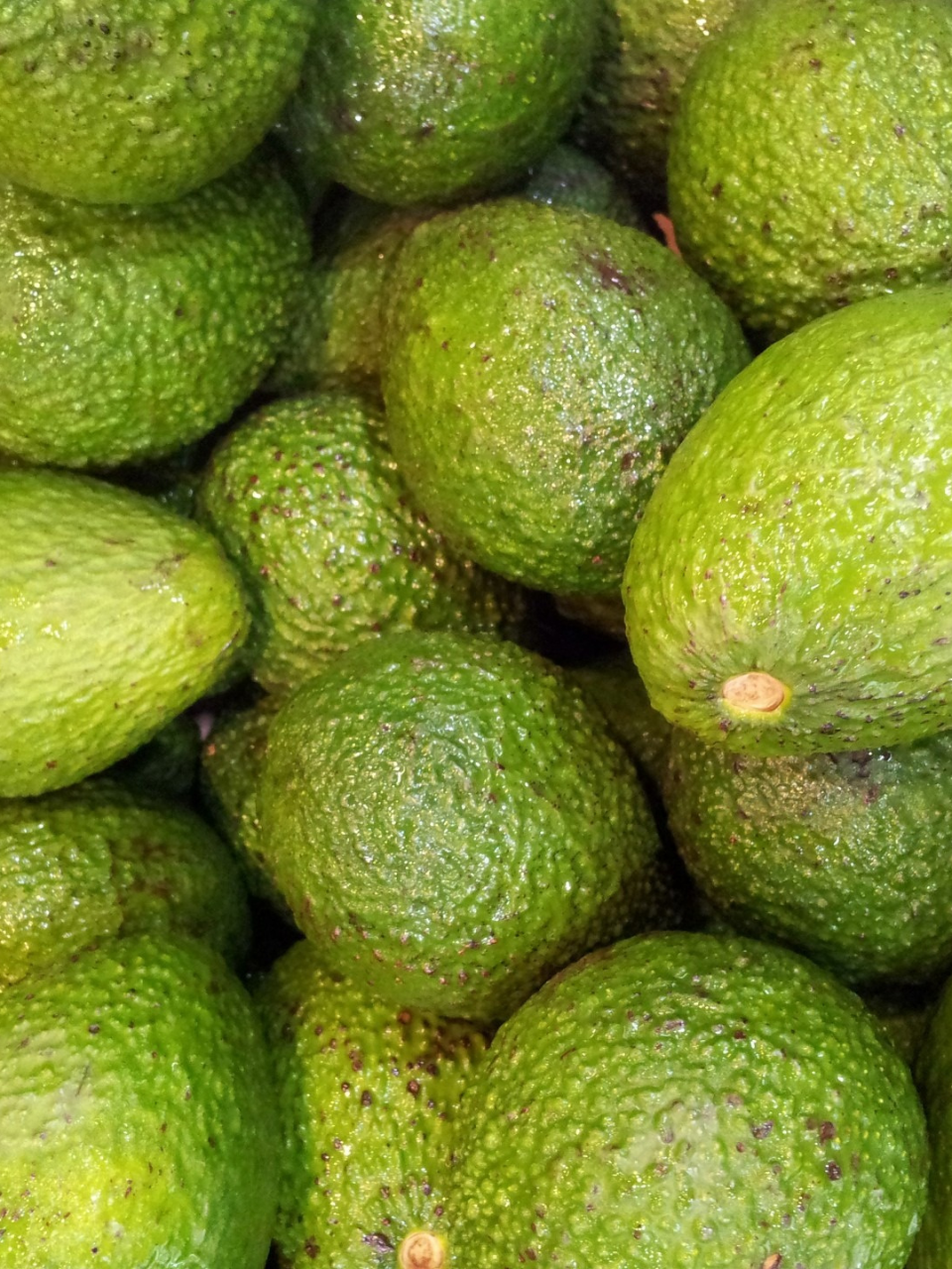 aguacates