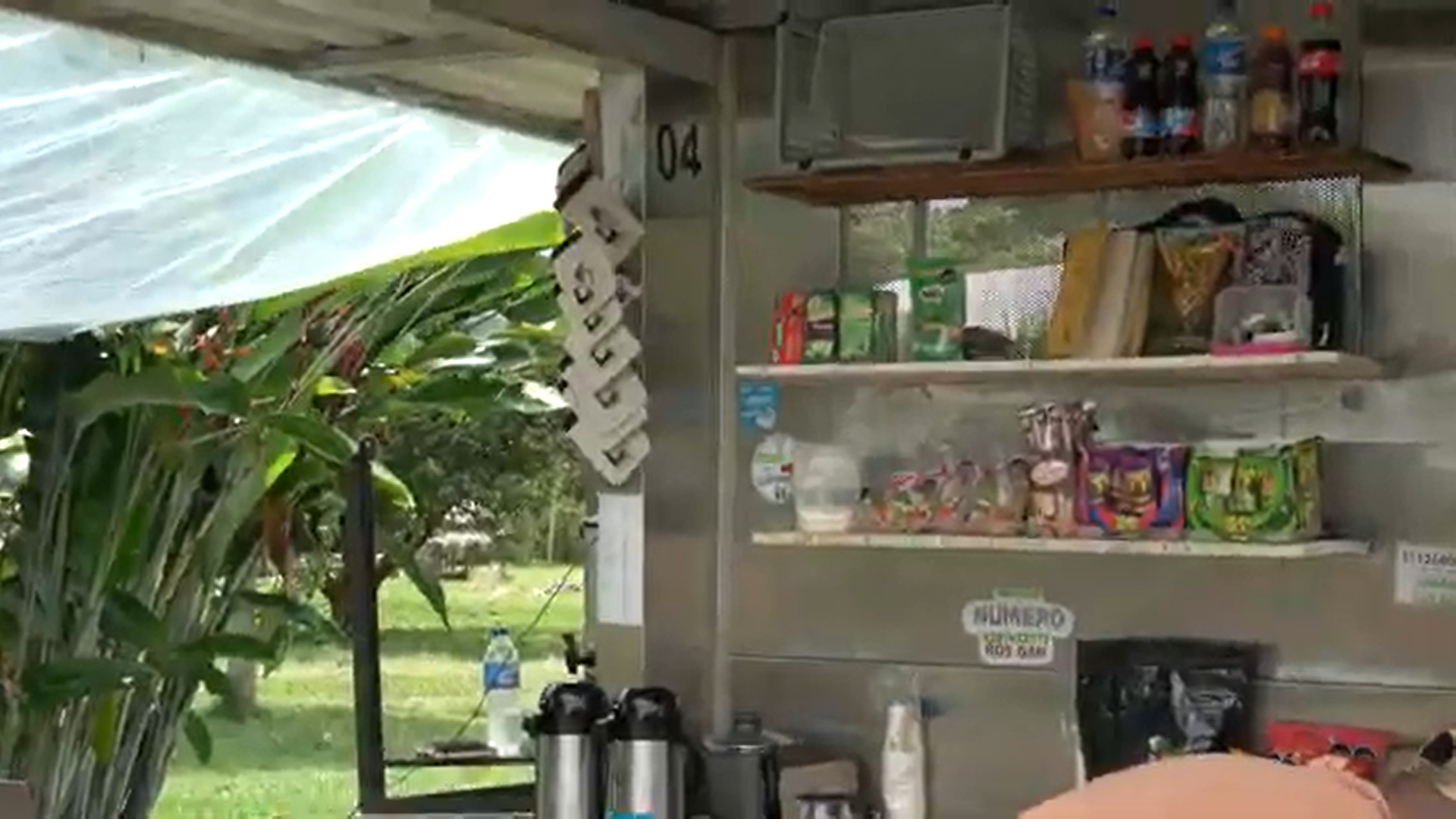 Hay lugares dentro de la Universidad Tecnológica de Pereira que parecen no figurar en los mapas, pero que muchos terminan encontrando. Rincones discretos donde, más allá del intercambio de productos, se comparten ideas, silencios, tazas de café y conversaciones que dejan huella.