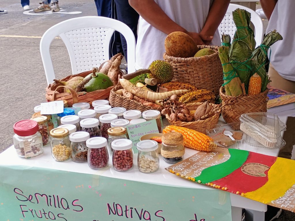 La Universidad Tecnológica de Pereira (UTP) fue escenario de una destacada jornada dedicada a la apropiación del conocimiento, en la que estudiantes de diferentes instituciones educativas del departamento de Risaralda participaron en proyectos innovadores liderados desde la Facultad de Ciencias de la Educación. En este contexto, iniciativas como el programa Ondas, el proyecto del Centro de Ciencia y Biodiversidad (CIBI) y los talleres de tecnología 4.0 se consolidaron como pilares para el fortalecimiento del desarrollo científico en la región.