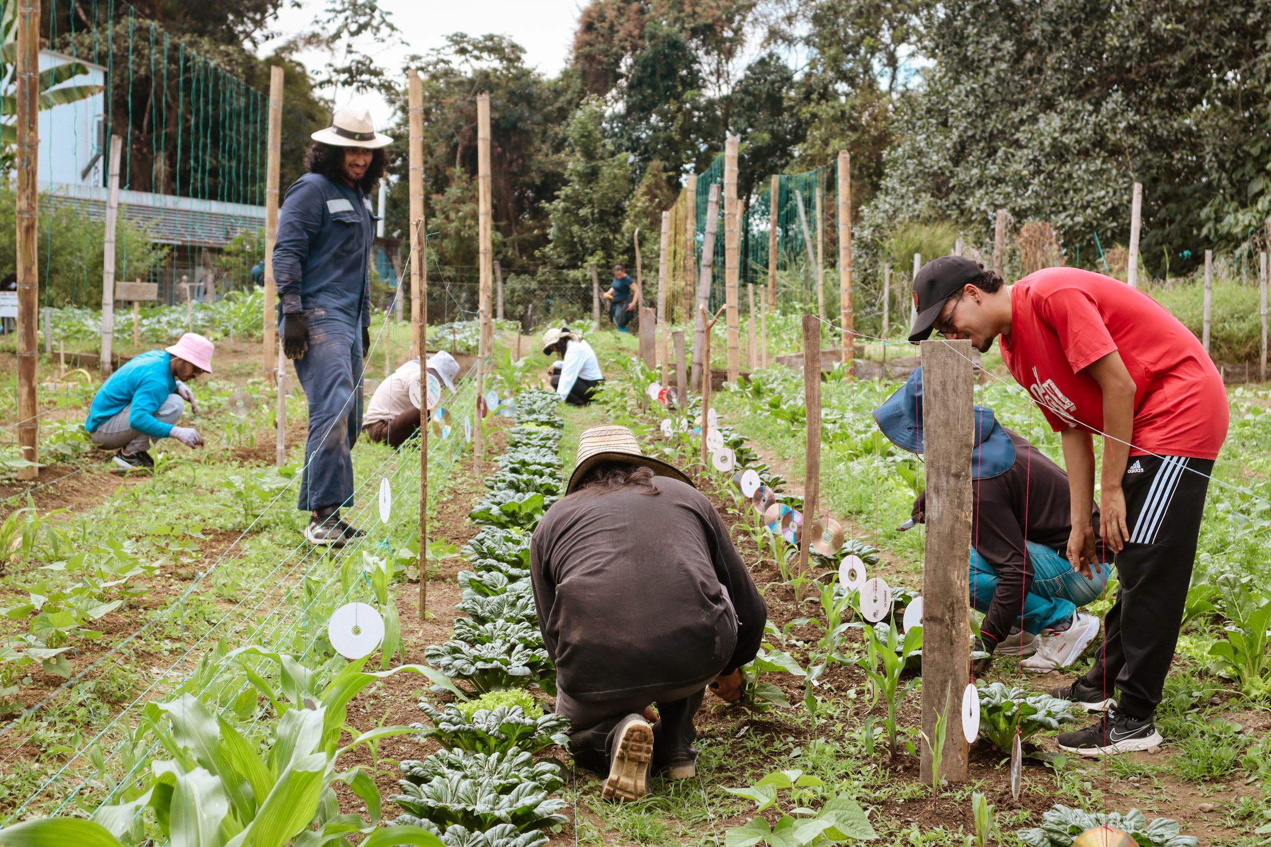 En la Universidad Tecnológica de Pereira, la Facultad de Ciencias Agrarias y Agroindustrias está impulsando a jóvenes visionarios que están transformando el sector agrícola, preparándolos para afrontar los desafíos del futuro. A través de su formación, esta Facultad contribuye a garantizar que el campo mantenga su relevancia en la alimentación del mañana, formando líderes comprometidos con la sostenibilidad y la innovación.