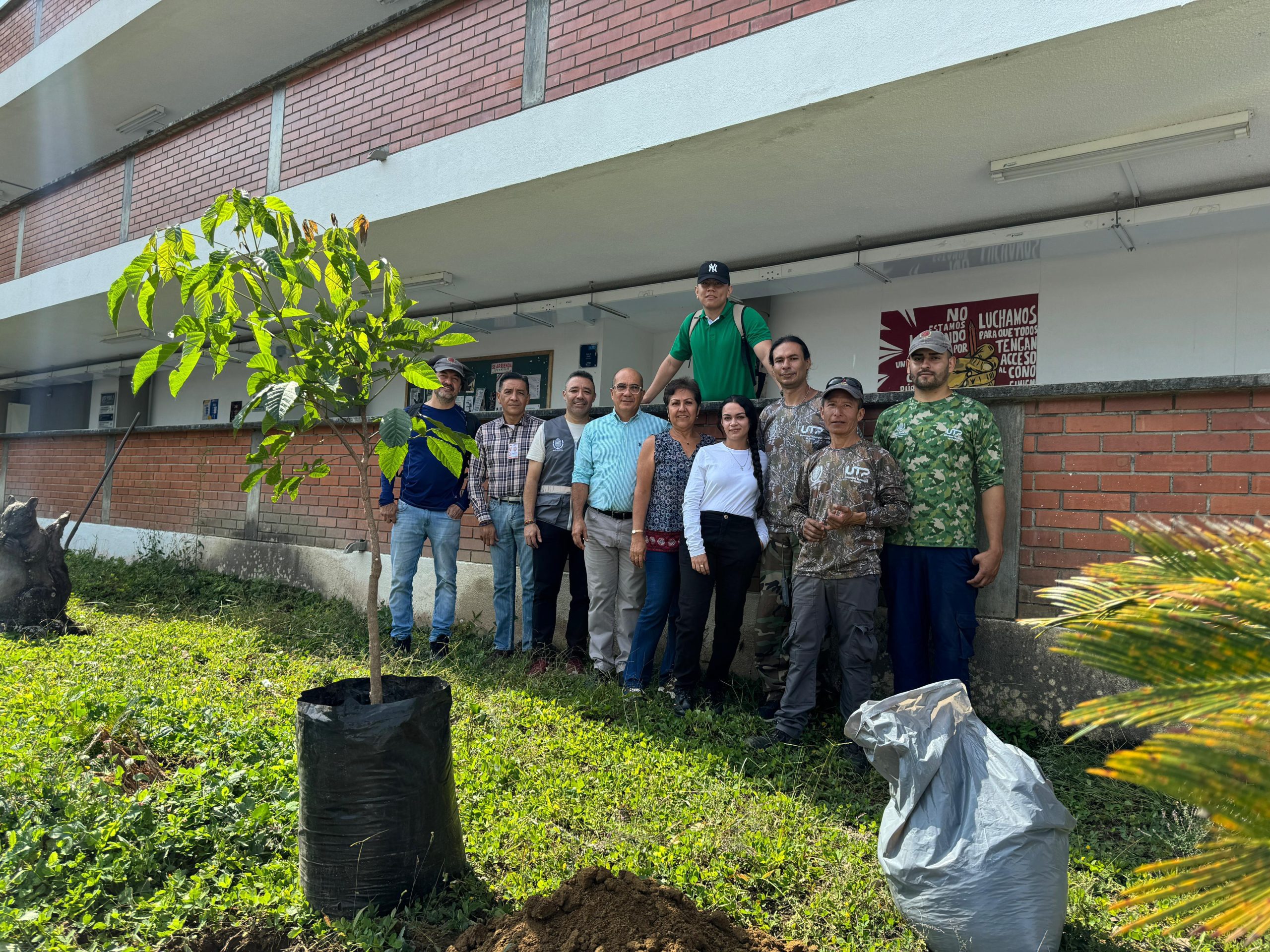 El Centro de Ciencia Jardín Botánico, en conjunto con la División de Servicios y Acompañamiento de la Facultad de Ciencias Empresariales, lideró una importante jornada de reforestación en el campus universitario. La actividad tuvo como objetivo reemplazar el árbol que había sido talado recientemente por representar un riesgo en la entrada al edificio 5, próximo a la portería principal de la Universidad.