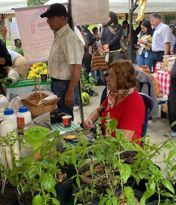 El Centro de Gestión Ambiental, adscrito a la Vicerrectoría de Investigaciones, Innovación y Extensión de la Universidad Tecnológica de Pereira (UTP), informa que el Mercado Agroecológico ‘Alimentos para la vida’ se trasladará temporalmente al Planetario de la Universidad. La próxima jornada se llevará a cabo el miércoles 5 de marzo, desde las 9:00 a. m. hasta las 4:00 p. m., ofreciendo una amplia variedad de productos agroecológicos de la región.