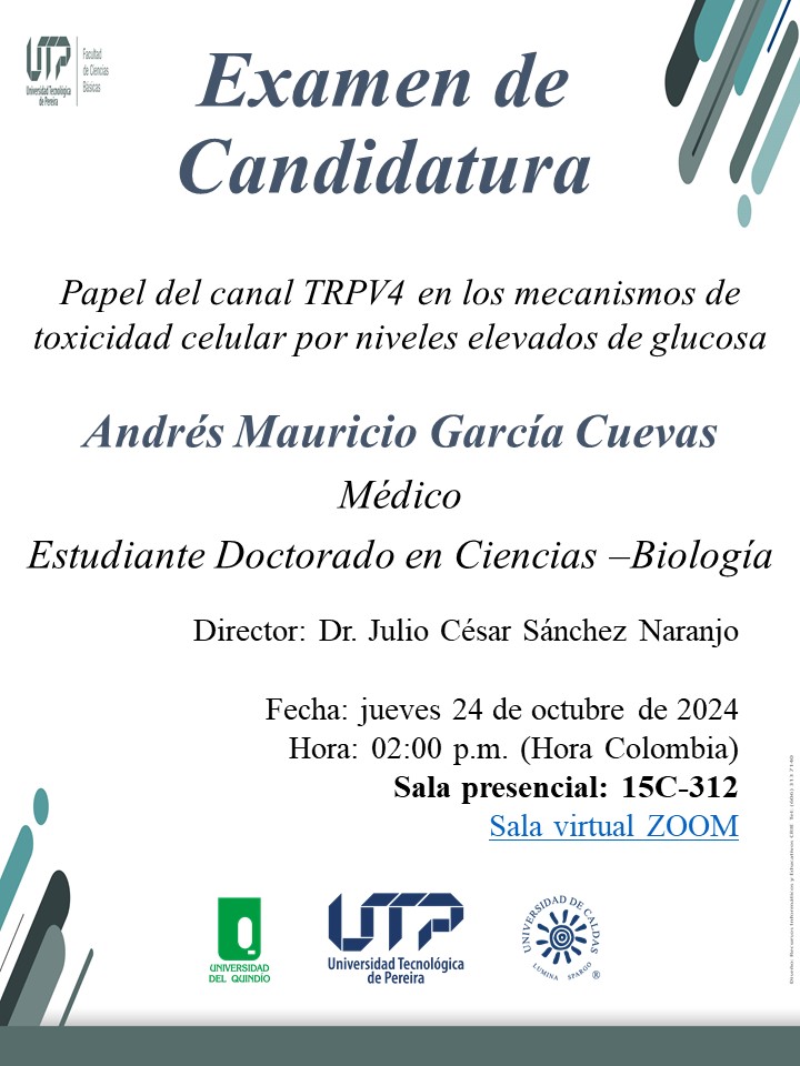 La Universidad Tecnológica de Pereira (UTP) extiende una cordial invitación a toda la comunidad académica al Examen de Candidatura del estudiante de maestría Andrés Mauricio García Cuevas. Su presentación, titulada "Papel del canal TRPV4 en los mecanismos de toxicidad celular por niveles elevados de glucosa", tendrá lugar el jueves 24 de octubre de 2024 a las 2:00 p.m. (hora de Colombia).