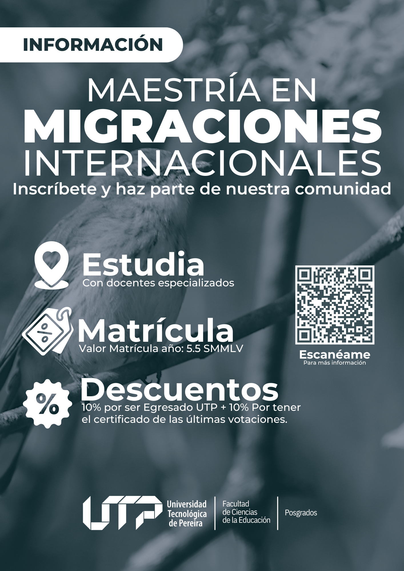 La Maestría en Migraciones Internacionales de la Universidad Tecnológica de Pereira se posiciona como un programa académico de gran relevancia en el panorama actual, abordando uno de los fenómenos sociales más complejos y dinámicos de nuestro tiempo: la migración y la movilidad humana. Este posgrado se enfoca en el análisis investigativo y la intervención en estos procesos, destacándose por su importancia tanto a nivel regional como en los contextos nacional e internacional.