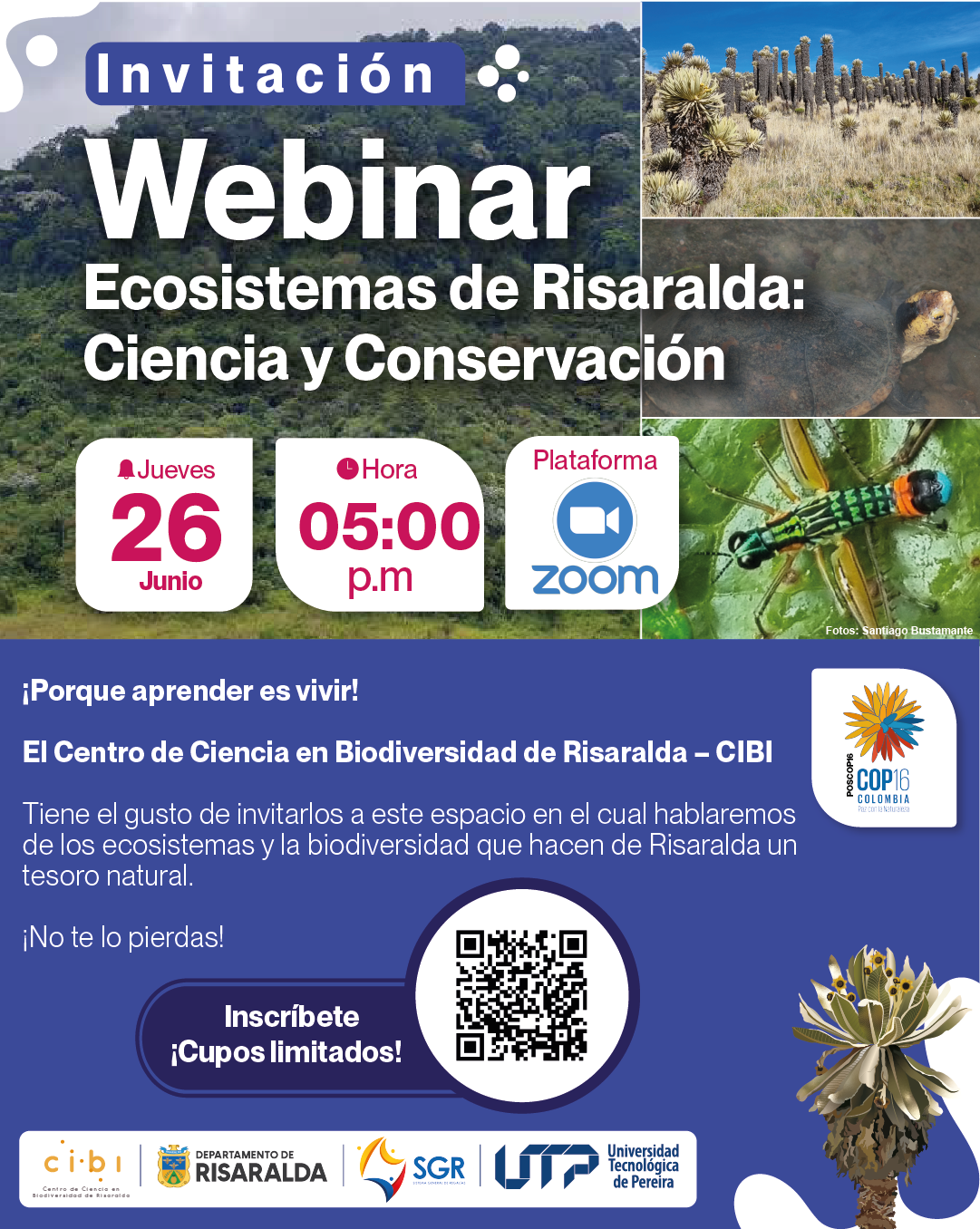 Con el propósito de fomentar el conocimiento científico y la conservación de los ecosistemas locales, el Centro de Ciencia en Biodiversidad de Risaralda (CIBI), adscrito a la Vicerrectoría de Investigaciones, Innovación y Extensión de la Universidad Tecnológica de Pereira, invita a participar en el webinar titulado “Ecosistemas de Risaralda: Ciencia y Conservación”, que se llevará a cabo el próximo 26 de junio de 2025, a las 5:00 p. m. a través de la plataforma Zoom.