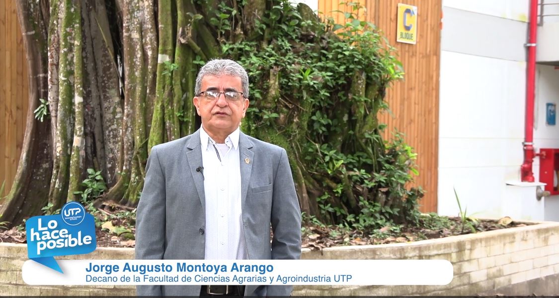 Durante el año 2024, la Facultad de Ciencias Agrarias y Agroindustria de la Universidad Tecnológica de Pereira se consolidó como un referente en formación, investigación y proyección social, especialmente en los sectores agroindustrial y forestal. Así lo expresó su decano, Jorge Augusto Montoya Ocampo, en el Informe de Gestión 2024, presentado mediante un formato audiovisual que aprovecha los recursos digitales institucionales.