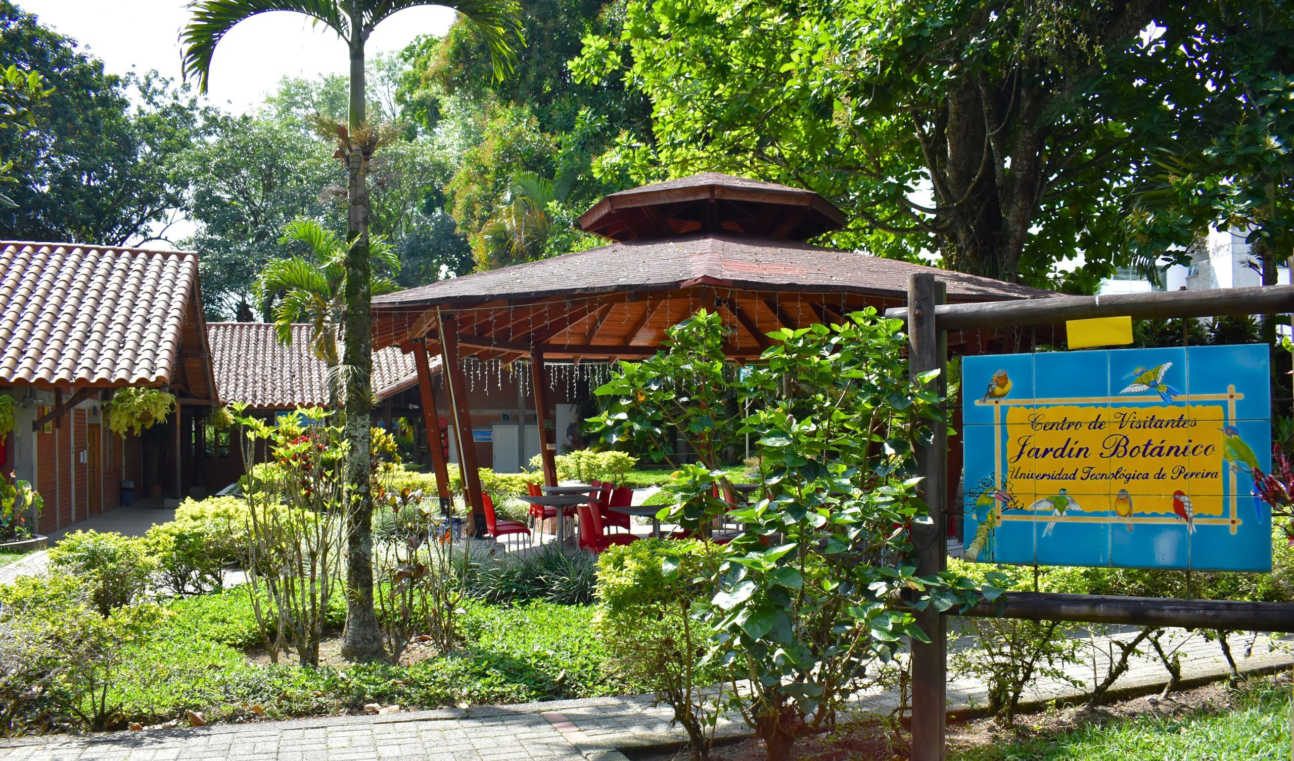 En Colombia se conmemora hoy 11 de septiembre el Día Nacional de la Biodiversidad, una fecha que invita a reflexionar sobre la riqueza natural que caracteriza al país y a la región. En la Universidad Tecnológica de Pereira, el Jardín Botánico se suma a esta celebración destacando su papel como espacio de conservación, investigación y educación ambiental.