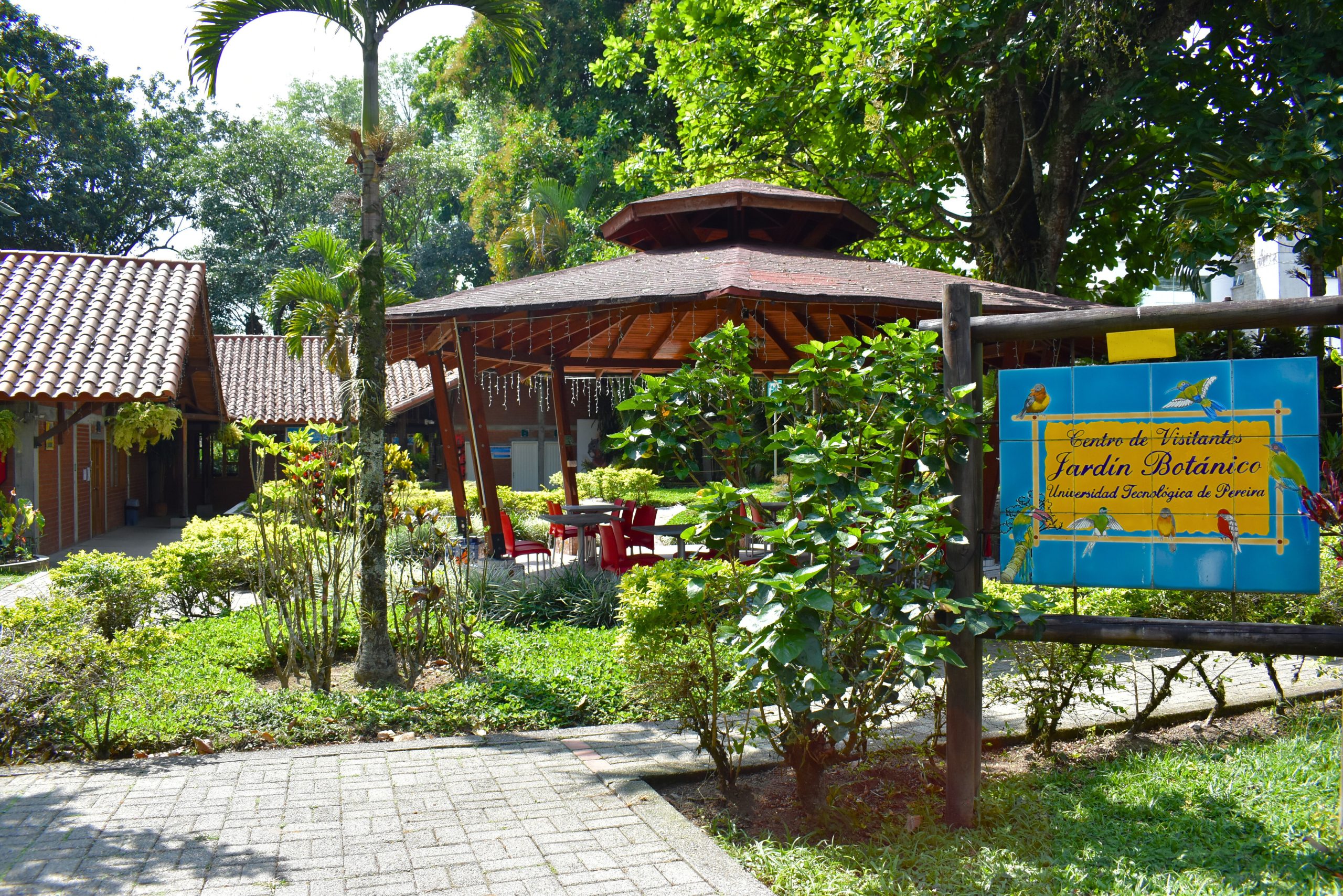 En Colombia se conmemora hoy 11 de septiembre el Día Nacional de la Biodiversidad, una fecha que invita a reflexionar sobre la riqueza natural que caracteriza al país y a la región. En la Universidad Tecnológica de Pereira, el Jardín Botánico se suma a esta celebración destacando su papel como espacio de conservación, investigación y educación ambiental.