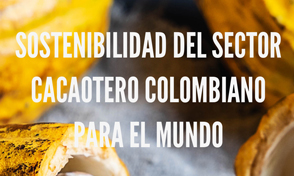 Seminario: Sostenibilidad del Sector Cacaotero Colombiano para el mundo