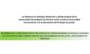 Sustentación trabajo de grado Maestría en Biología Molecular y Biotecnología