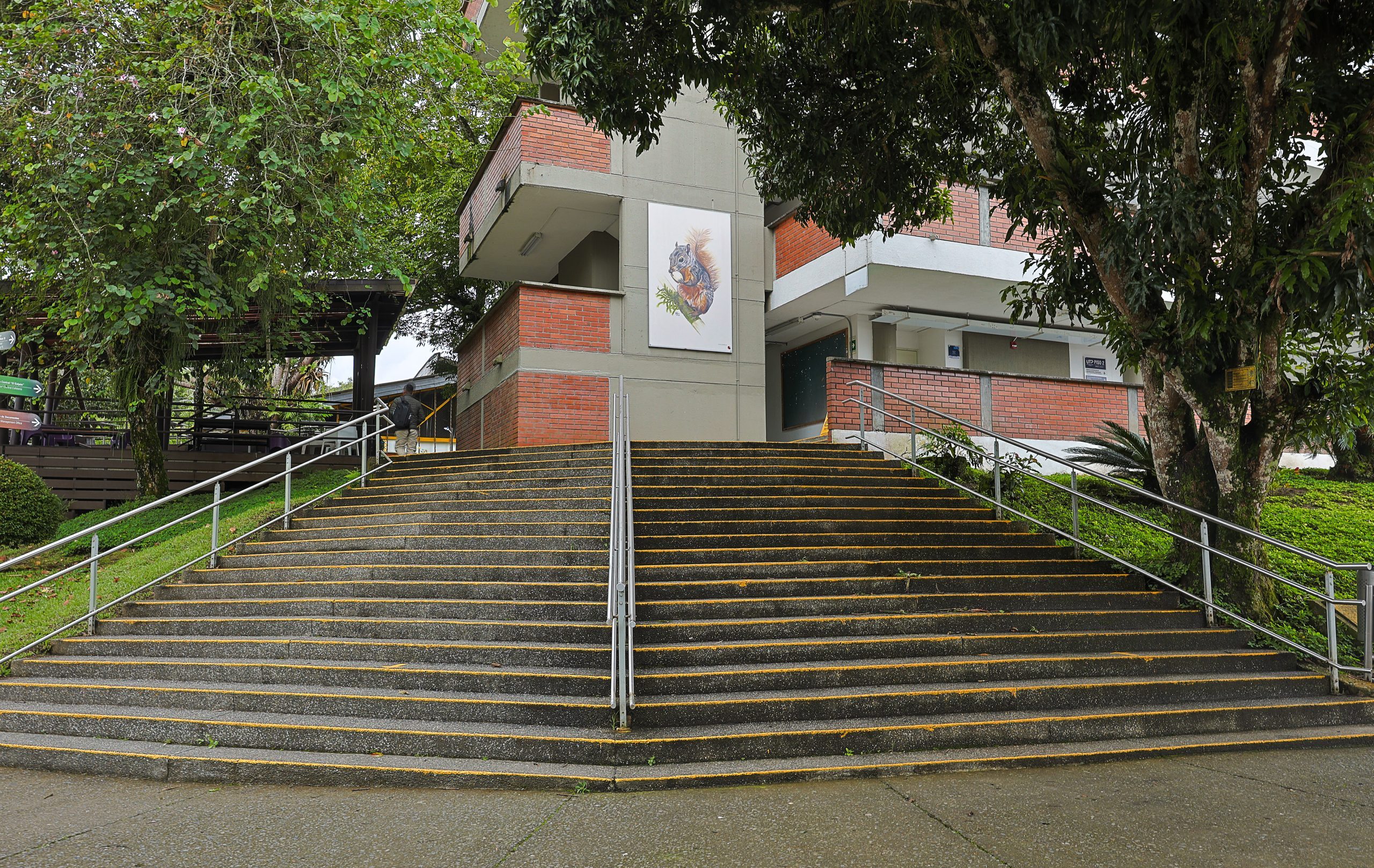 La Facultad de Ciencias Empresariales de la Universidad Tecnológica de Pereira invita a la comunidad académica y al público en general a participar en los diplomados de extensión, diseñados para fortalecer competencias en liderazgo, innovación, gestión y analítica aplicada a los negocios.