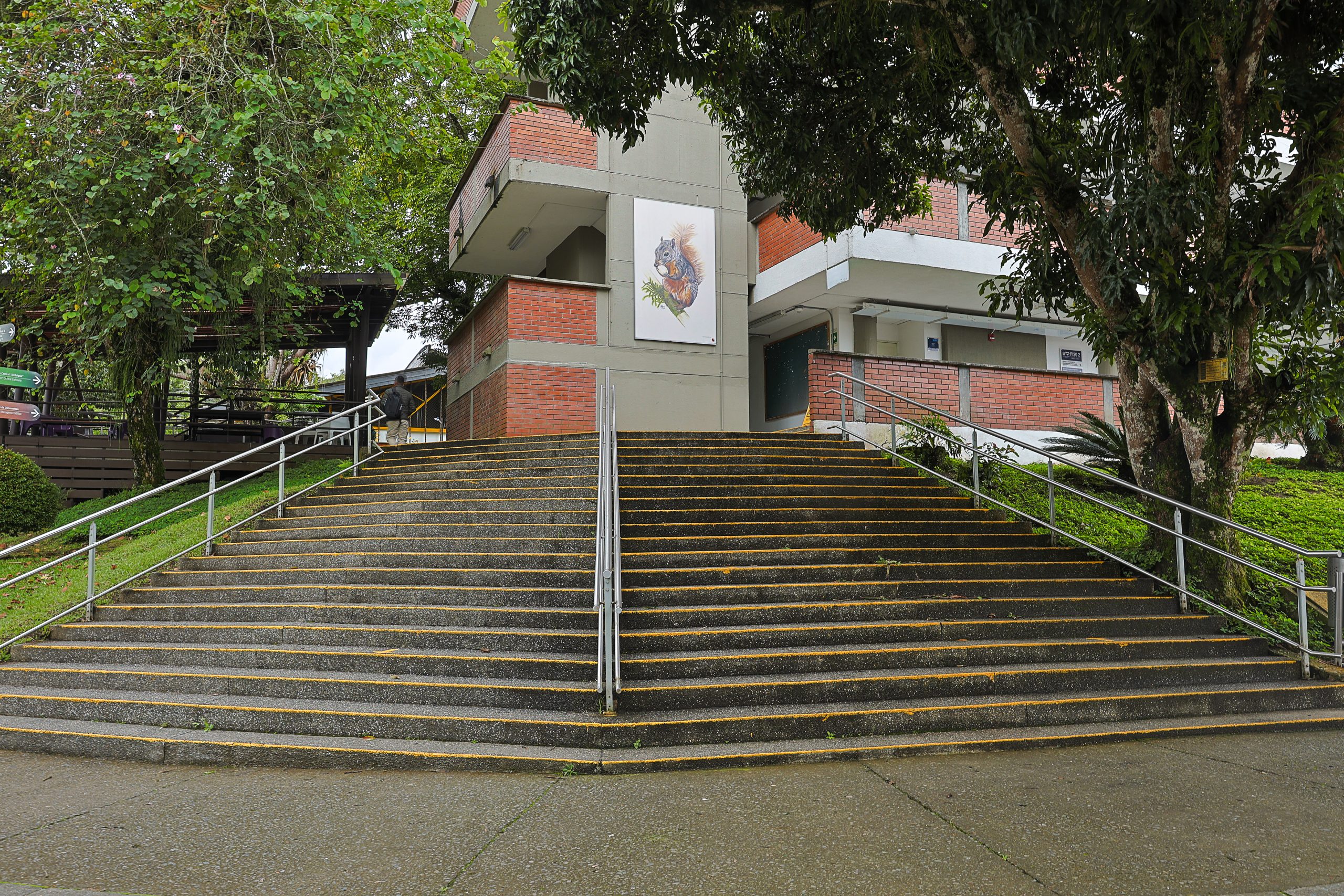 La Facultad de Ciencias Empresariales de la Universidad Tecnológica de Pereira invita a la comunidad académica y al público en general a participar en los diplomados de extensión, diseñados para fortalecer competencias en liderazgo, innovación, gestión y analítica aplicada a los negocios.