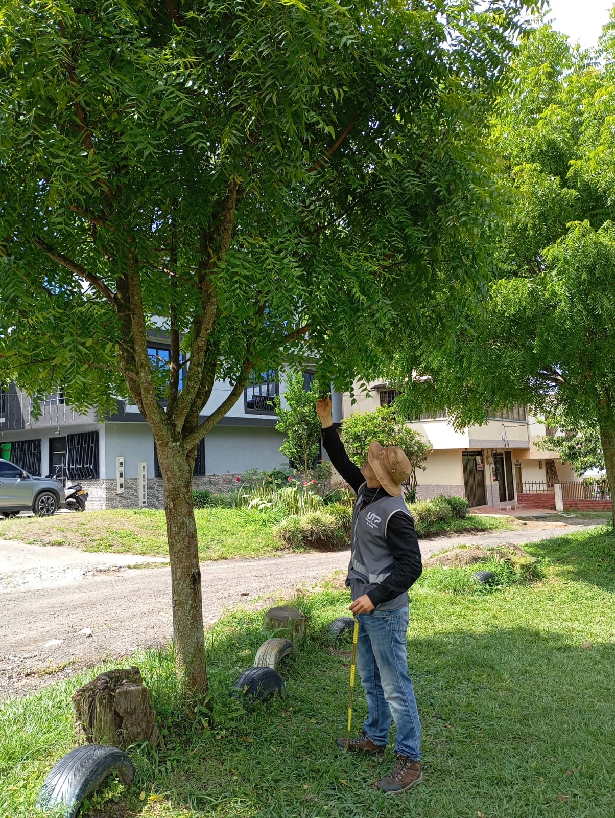 Un equipo de expertos adscritos al Jardín Botánico de la UTP se encuentra realizando un conteo exhaustivo y detallado para conocer la cantidad y el estado actual de los árboles en la ciudad de Pereira. El objetivo de este convenio hecho con la Alcaldía Municipal es mejorar la gestión y el cuidado de los árboles en la ciudad.