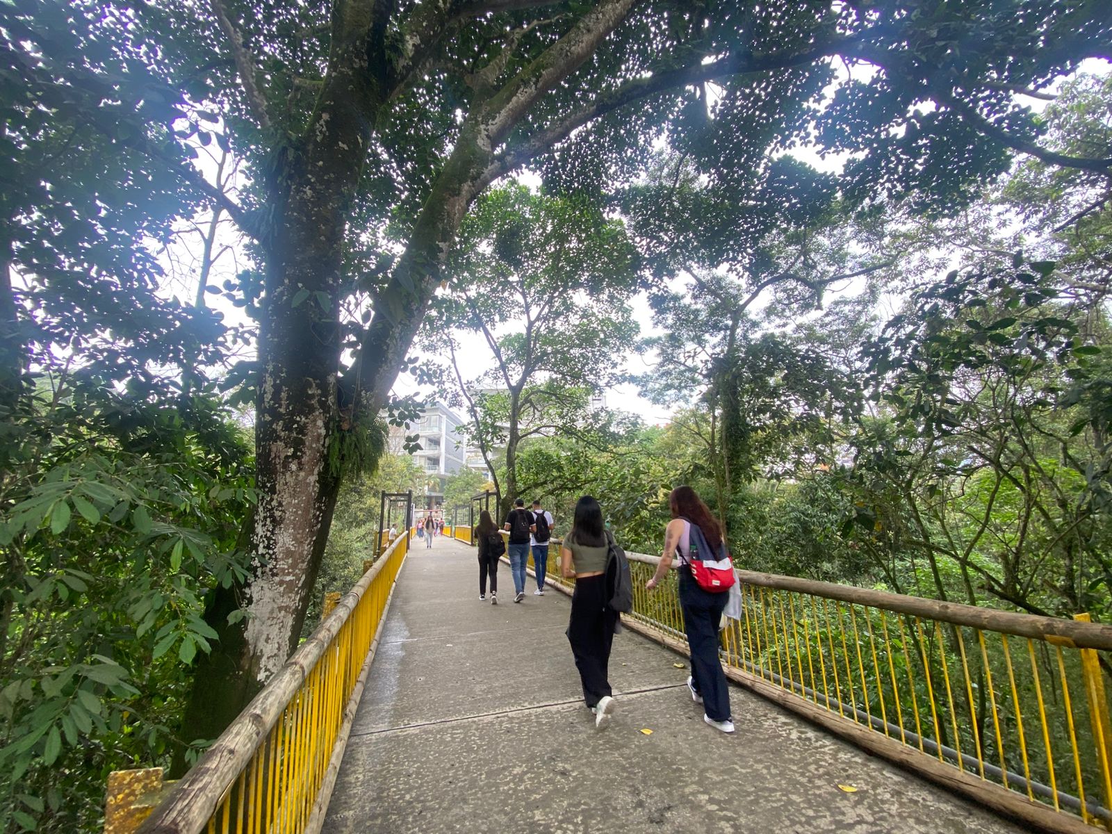 La Universidad Tecnológica de Pereira (UTP) ha sido reconocida en el Ranking Mundial Green Metric 2024, posicionándose en el puesto #86 a nivel global. Este logro reafirma su compromiso con la sustentabilidad y las buenas prácticas ambientales, manteniéndose por quinto año consecutivo entre los 100 campus más sustentables del mundo y consolidándose como la tercera universidad pública más sustentable de Colombia.