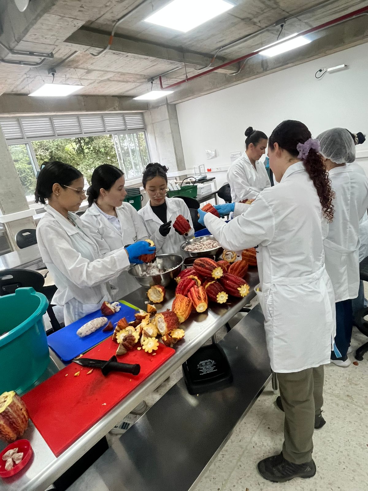 La Facultad de Ciencias Agrarias y Agroindustria de la Universidad Tecnológica de Pereira ha venido fortaleciendo su portafolio de servicios, una iniciativa estratégica orientada a poner al servicio del sector productivo regional y nacional las capacidades científicas, técnicas y humanas con las que cuenta la institución.