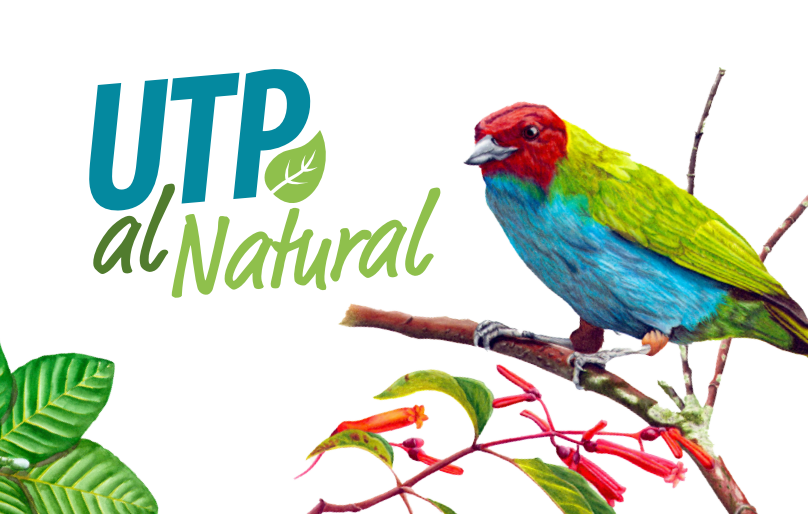 En la Zona Amarilla, en el Museo Departamental de Ciencias Naturales, INCIVA en Cali, ya está abierto el Stand de la UTP, que hasta el próximo 28 de octubre tendrá actividades permanentes alrededor de la biodiversidad y la conservación.