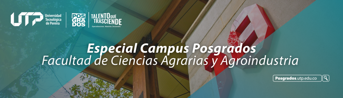posgrados