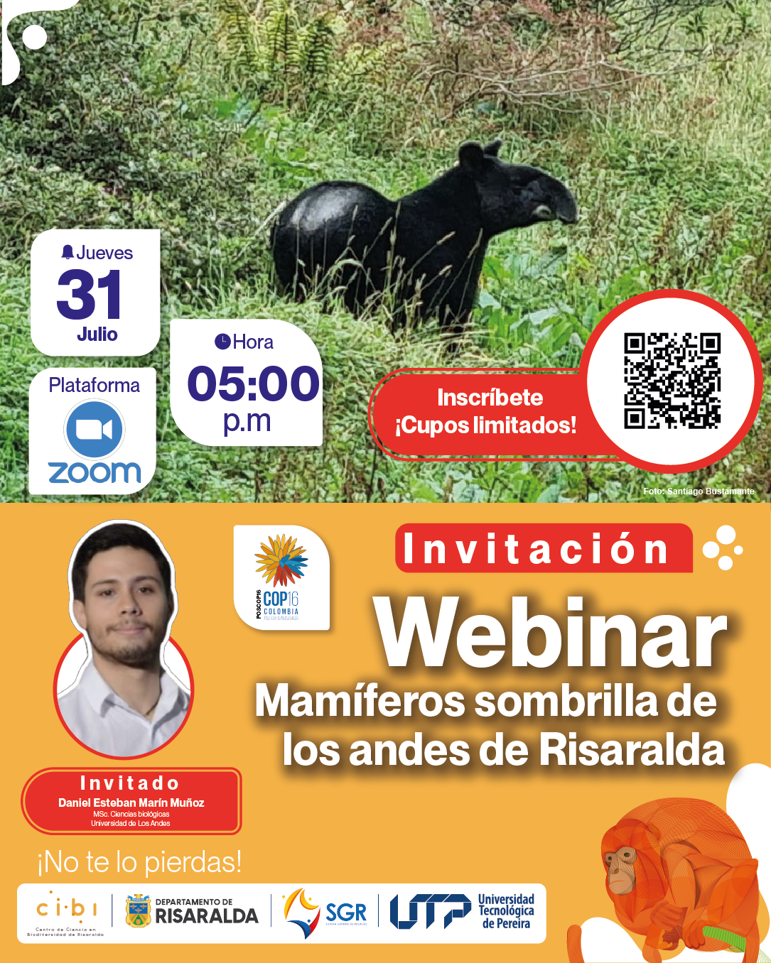 El Centro de Ciencia en Biodiversidad de Risaralda (CIBI) extiende una cordial invitación al Webinar gratuito “Mamíferos sombrilla de los Andes de Risaralda”, un espacio académico y de divulgación ambiental que busca visibilizar el rol esencial de ciertas especies de mamíferos en la conservación de los ecosistemas andinos del departamento.